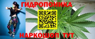 прущие крисы Кулебаки